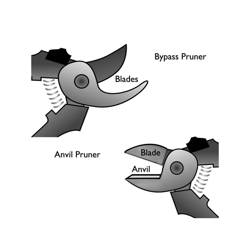 bypass vs anvil